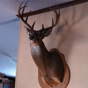 Meet your Posher, Al